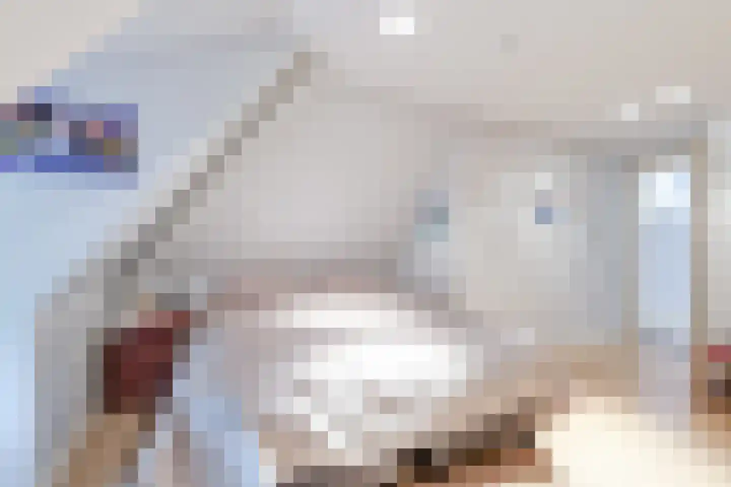 Eeuwigelaan 25 Bergen (NH) thumbnail 61