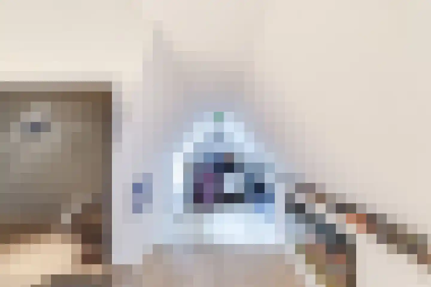 Eeuwigelaan 25 Bergen (NH) thumbnail 62