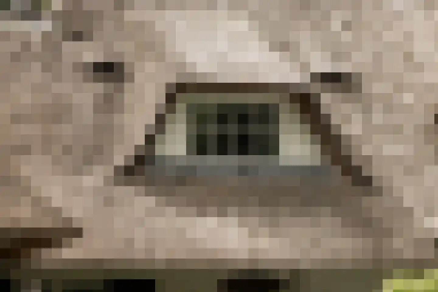 Eeuwigelaan 25 Bergen (NH) thumbnail 62