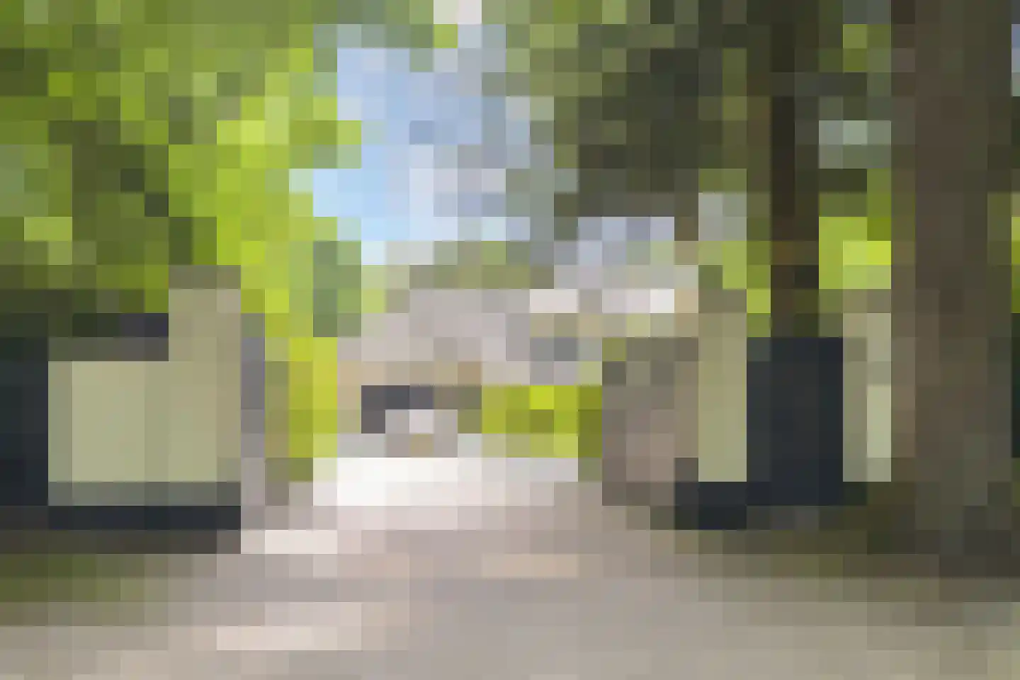 Eeuwigelaan 25 Bergen (NH) thumbnail 64