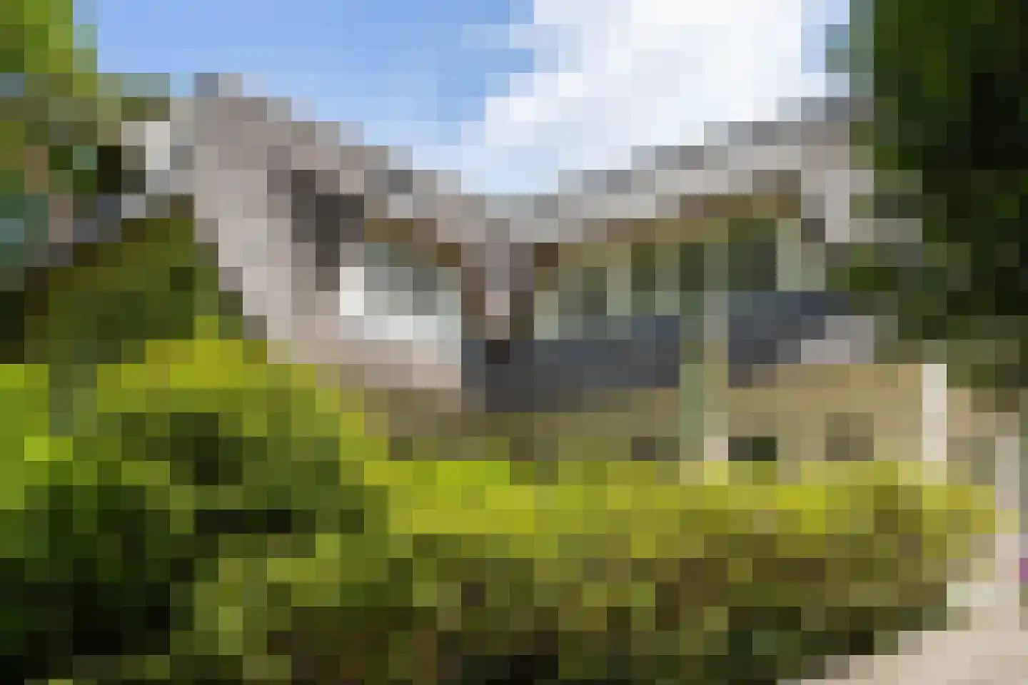 Eeuwigelaan 25 Bergen (NH) thumbnail 65