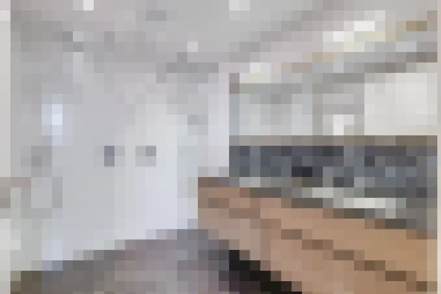 Eeuwigelaan 25 Bergen (NH) thumbnail 68