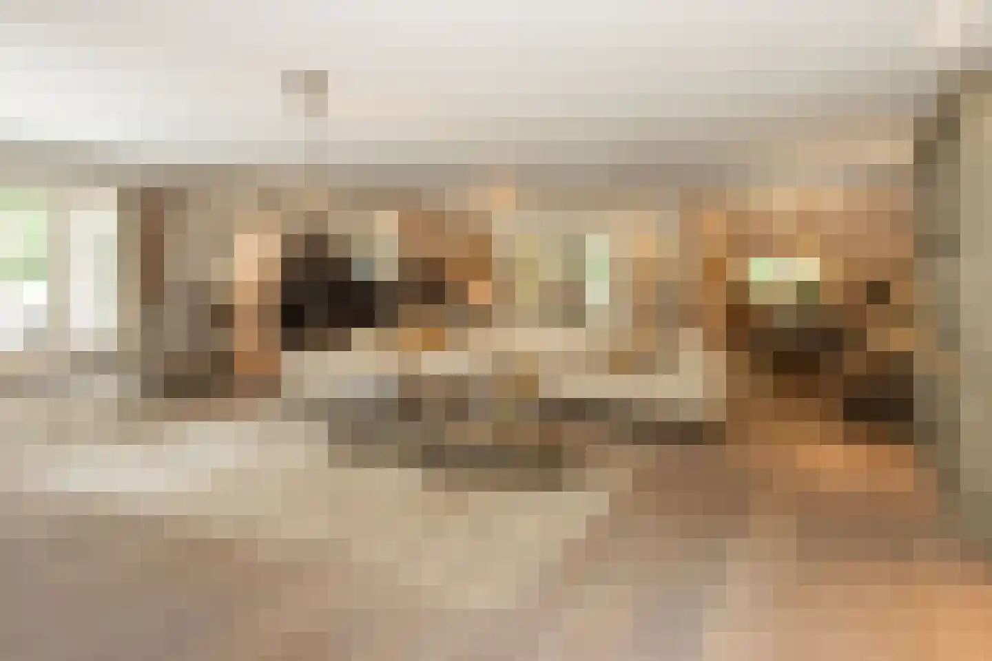 Eeuwigelaan 25 Bergen (NH) thumbnail 7
