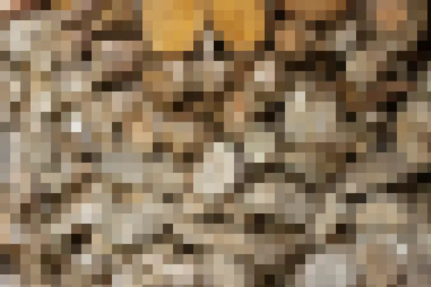 Eeuwigelaan 25 Bergen (NH) thumbnail 71