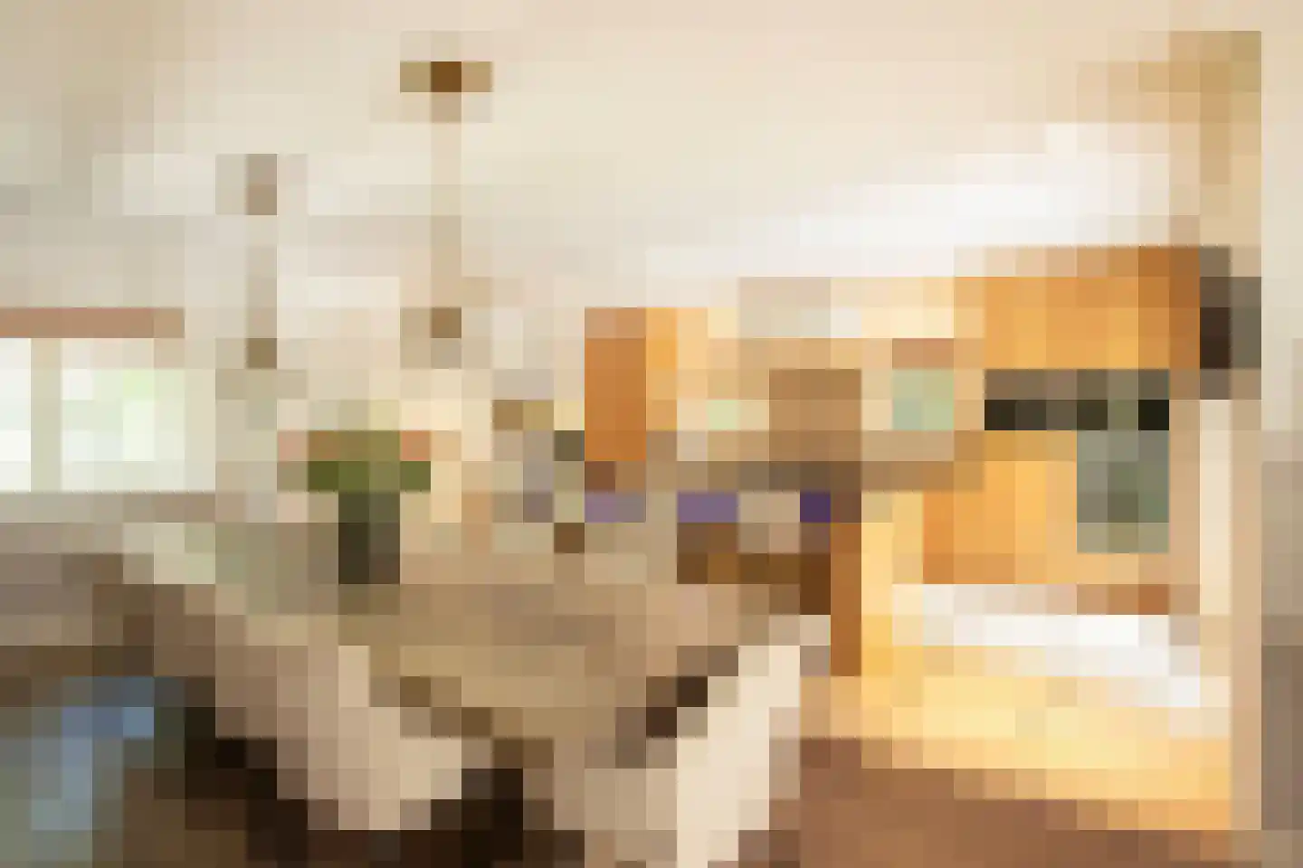 Eeuwigelaan 25 Bergen (NH) thumbnail 8