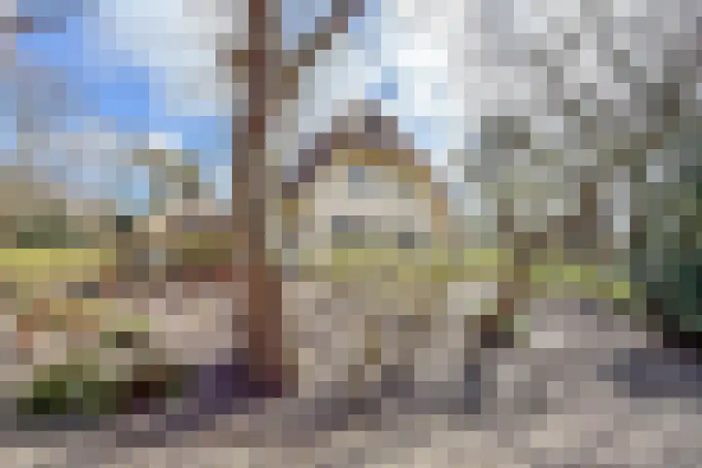 Eeuwigelaan 25 Bergen (NH) thumbnail 82