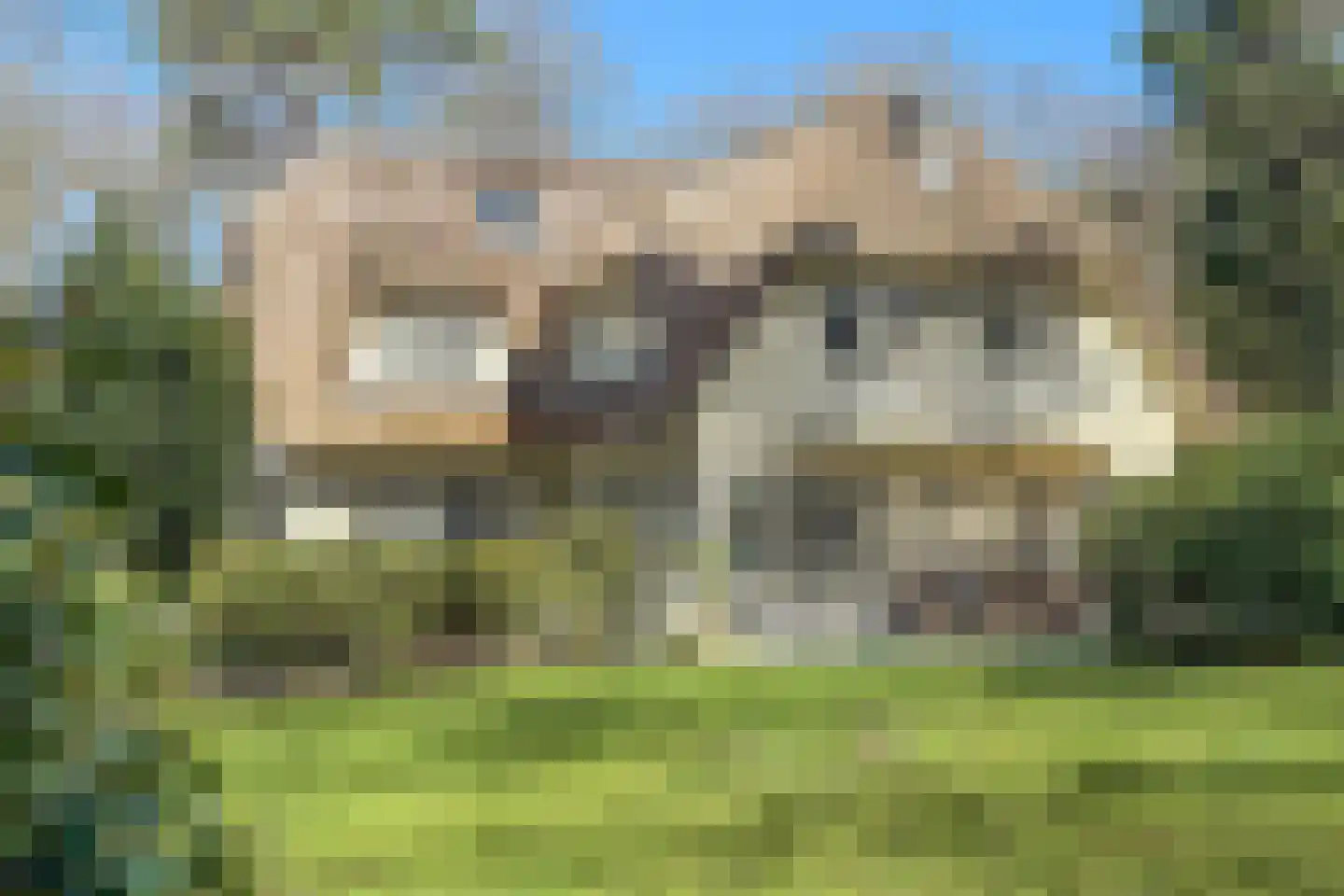 Eeuwigelaan 25 Bergen (NH) thumbnail 83