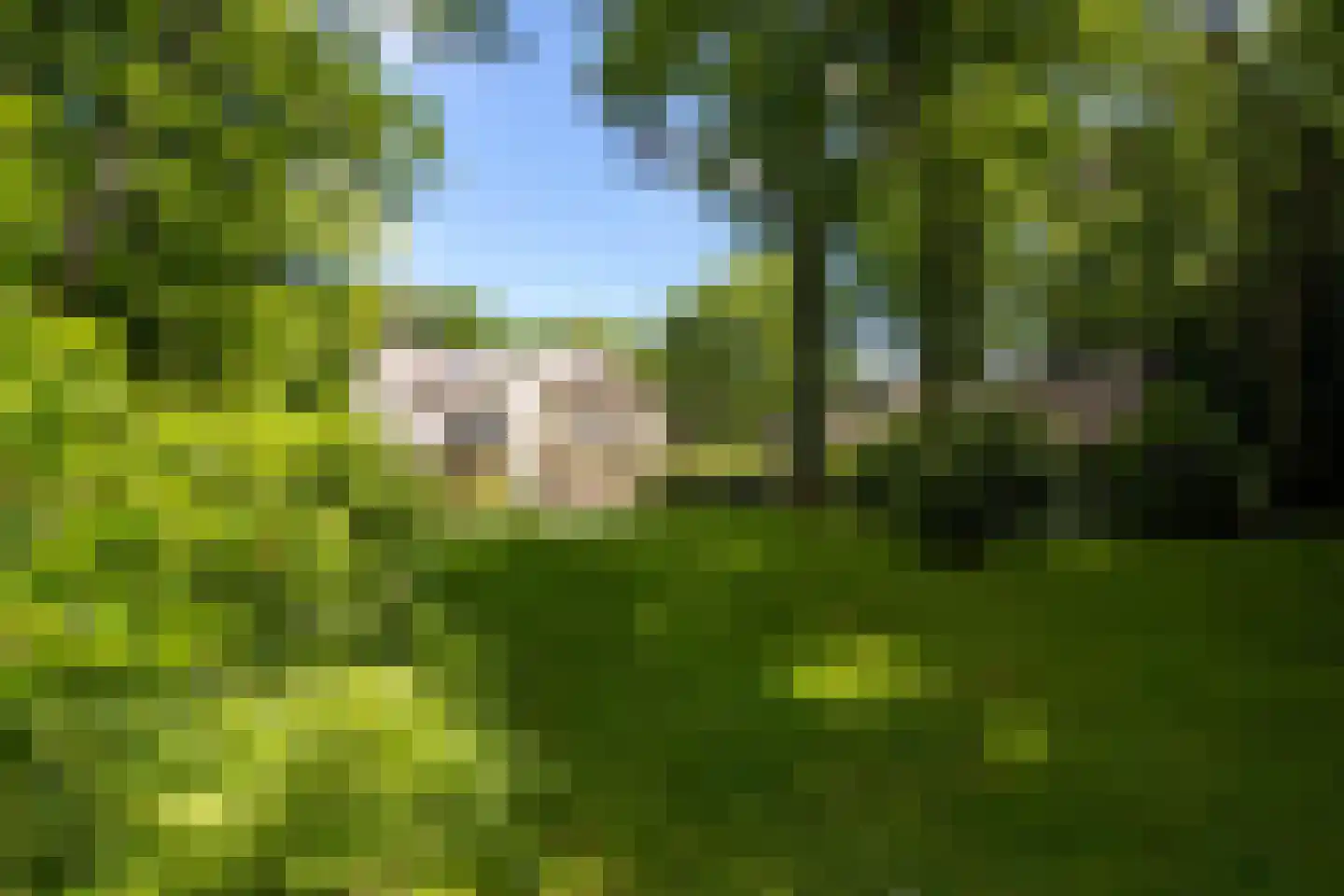 Eeuwigelaan 25 Bergen (NH) thumbnail 84