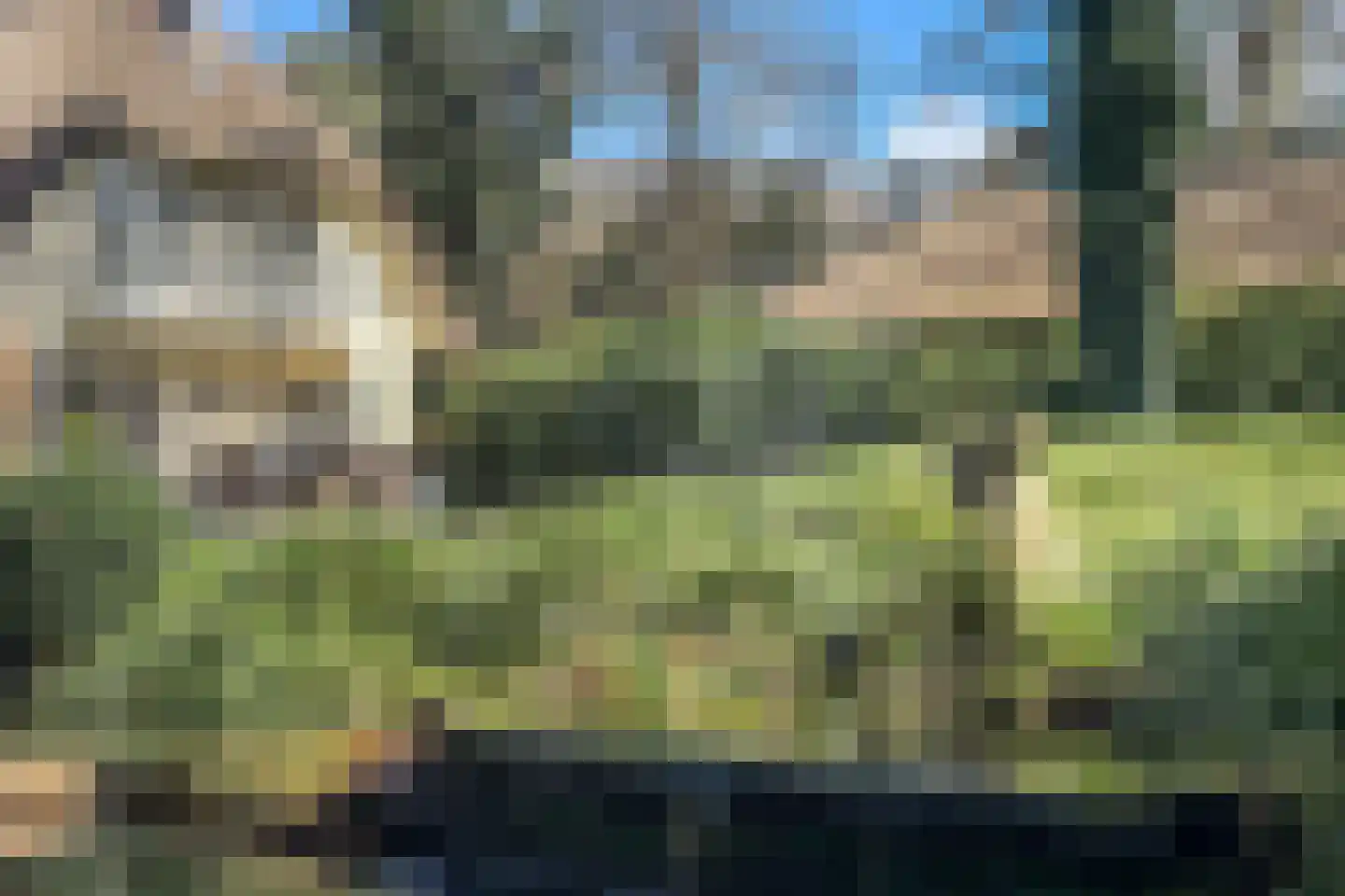 Eeuwigelaan 25 Bergen (NH) thumbnail 84