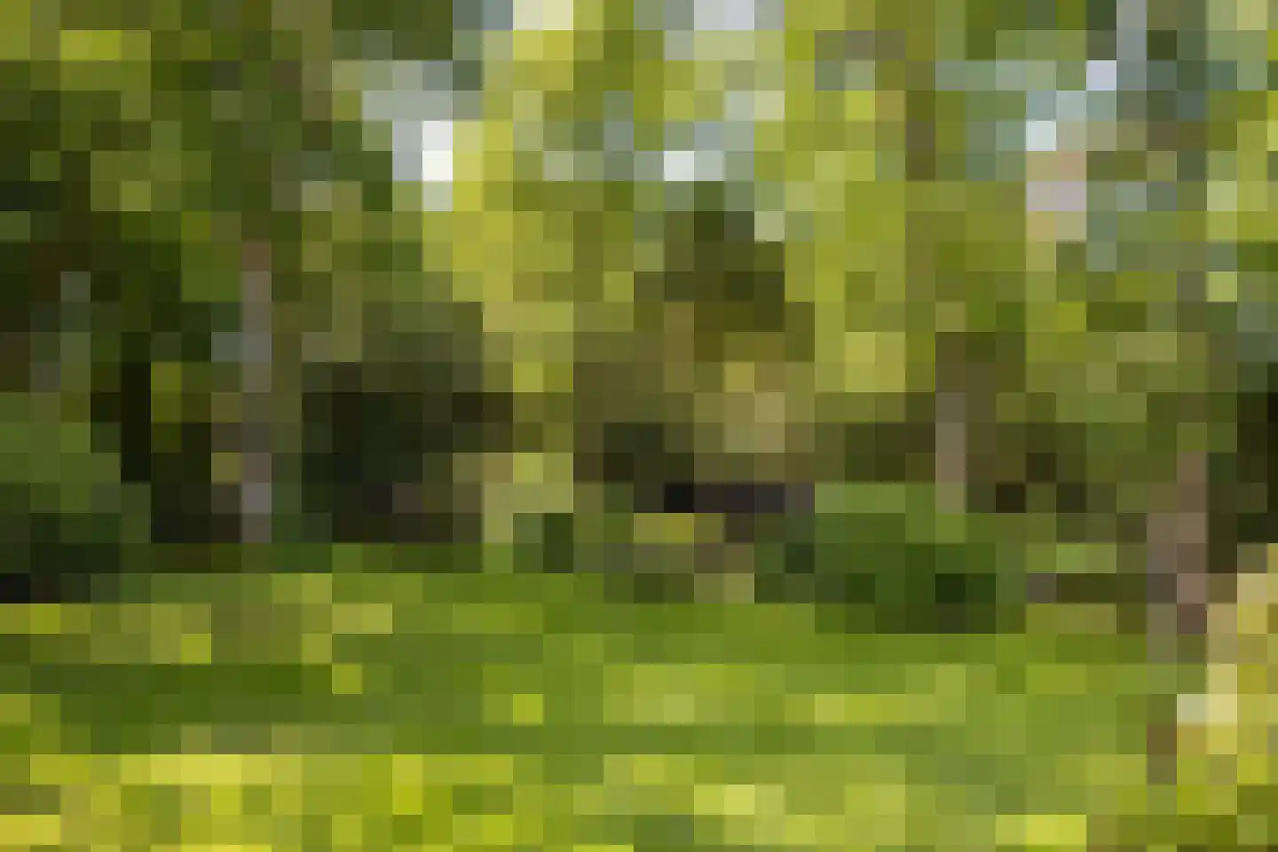 Eeuwigelaan 25 Bergen (NH) thumbnail 85
