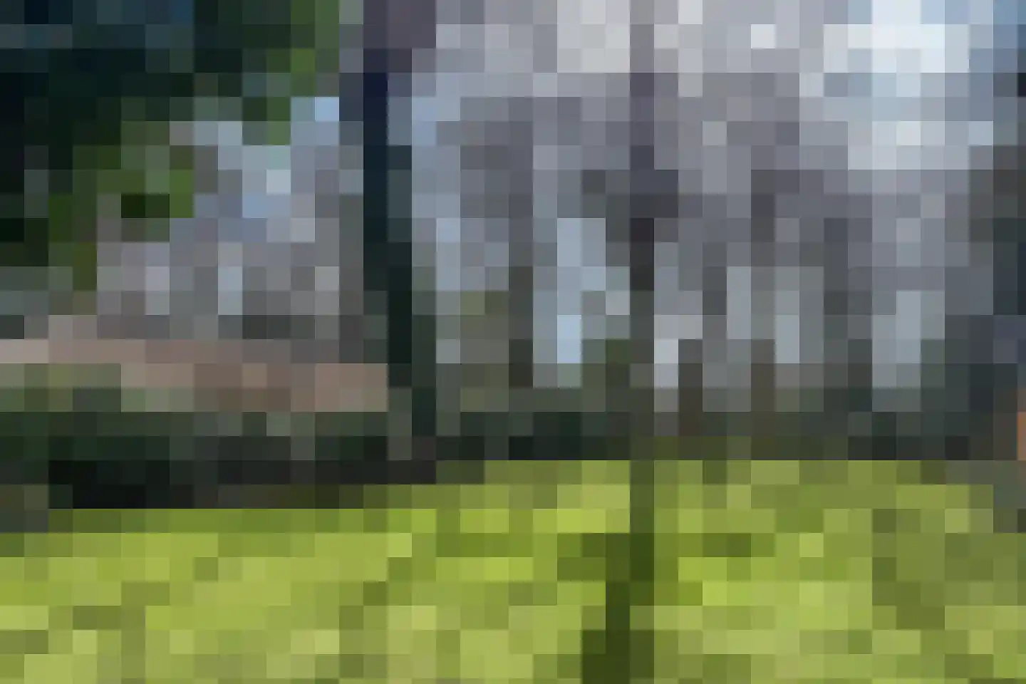 Eeuwigelaan 25 Bergen (NH) thumbnail 85