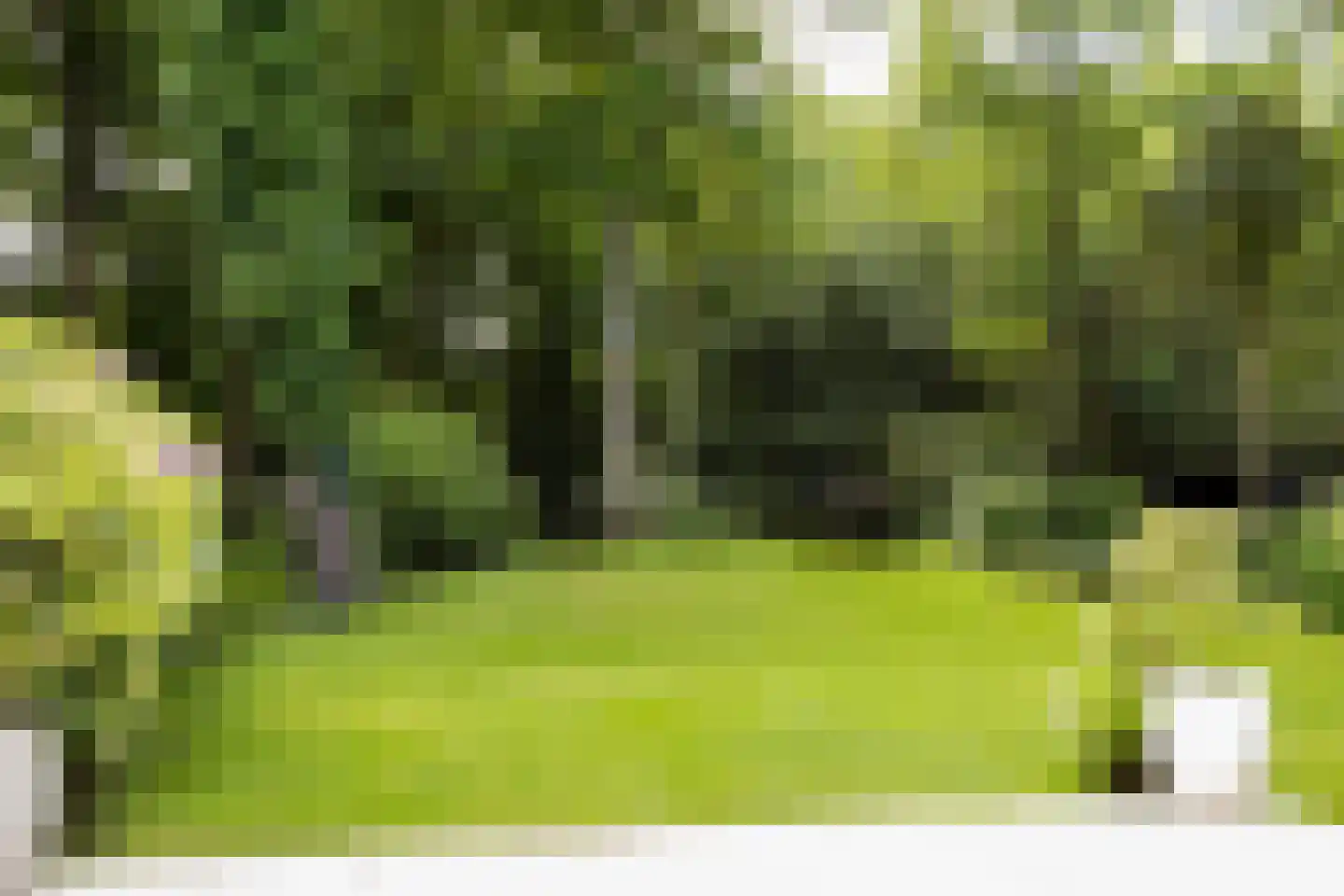 Eeuwigelaan 25 Bergen (NH) thumbnail 86