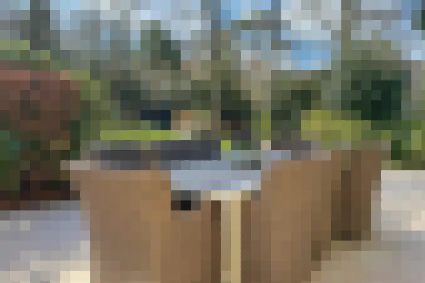 Eeuwigelaan 25 Bergen (NH) thumbnail 87