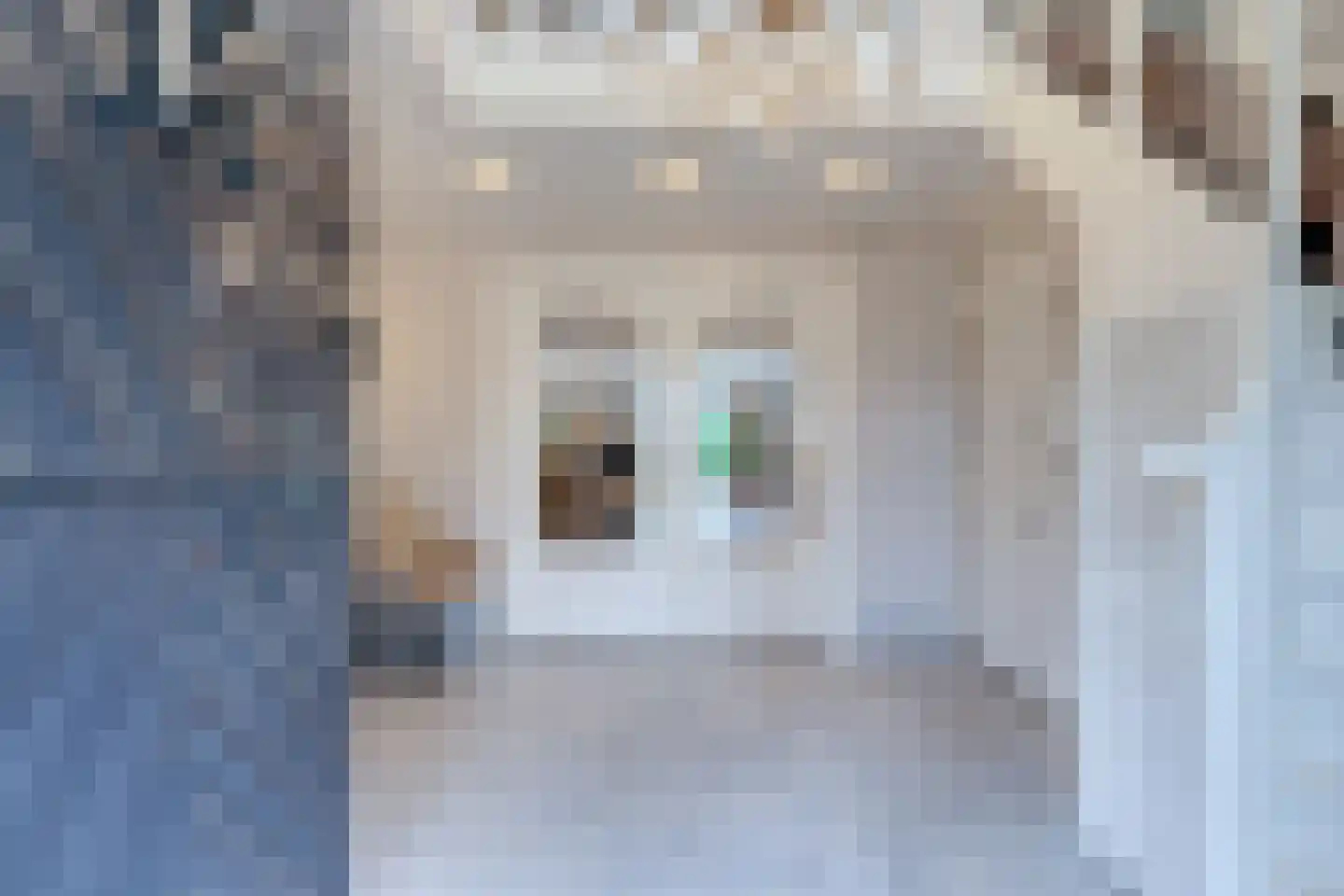 Eeuwigelaan 25 Bergen (NH) thumbnail 9