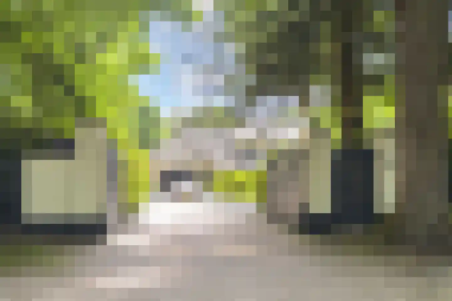 Eeuwigelaan 25 Bergen (NH) thumbnail 9