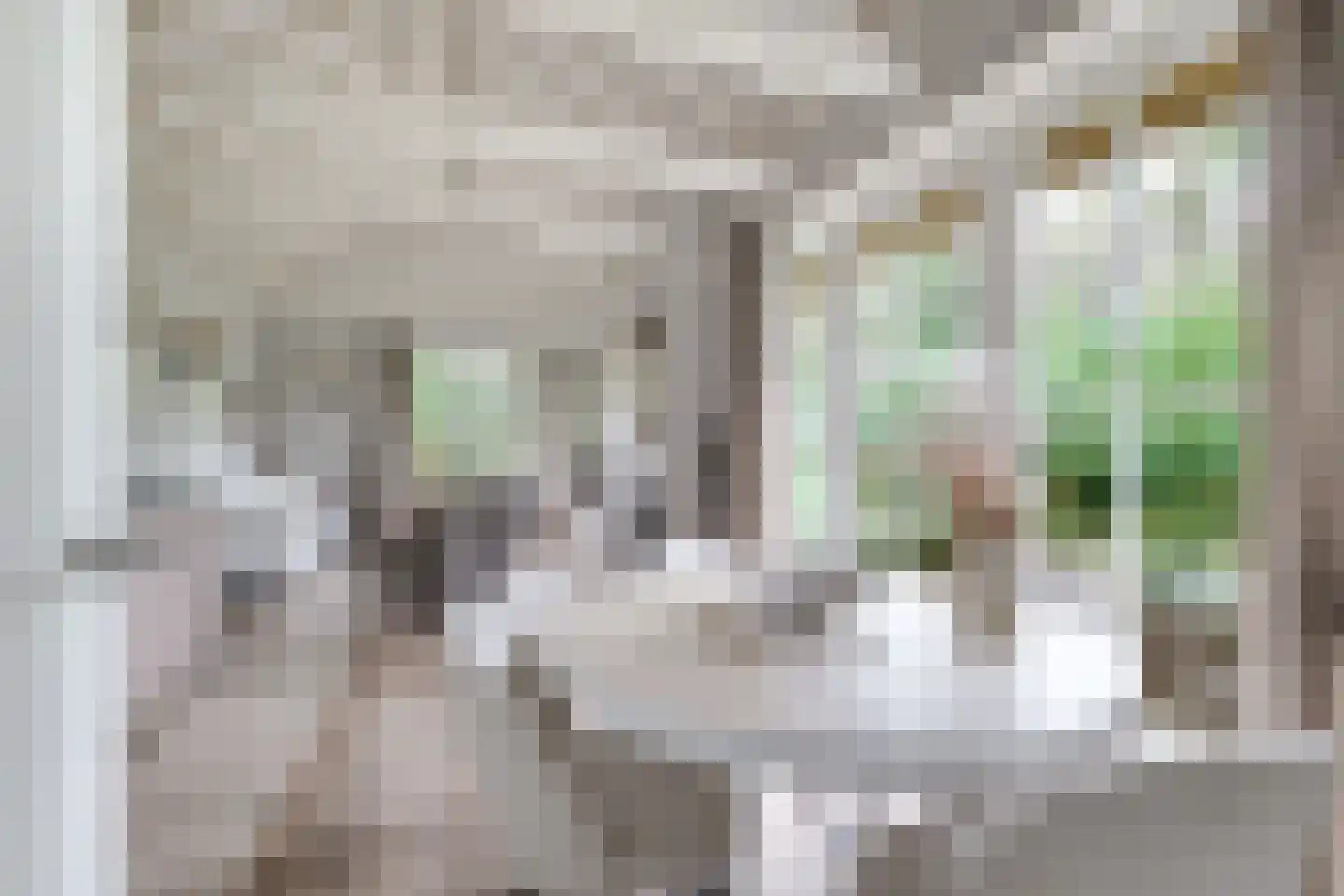 Eeuwigelaan 25 Bergen (NH) thumbnail 95