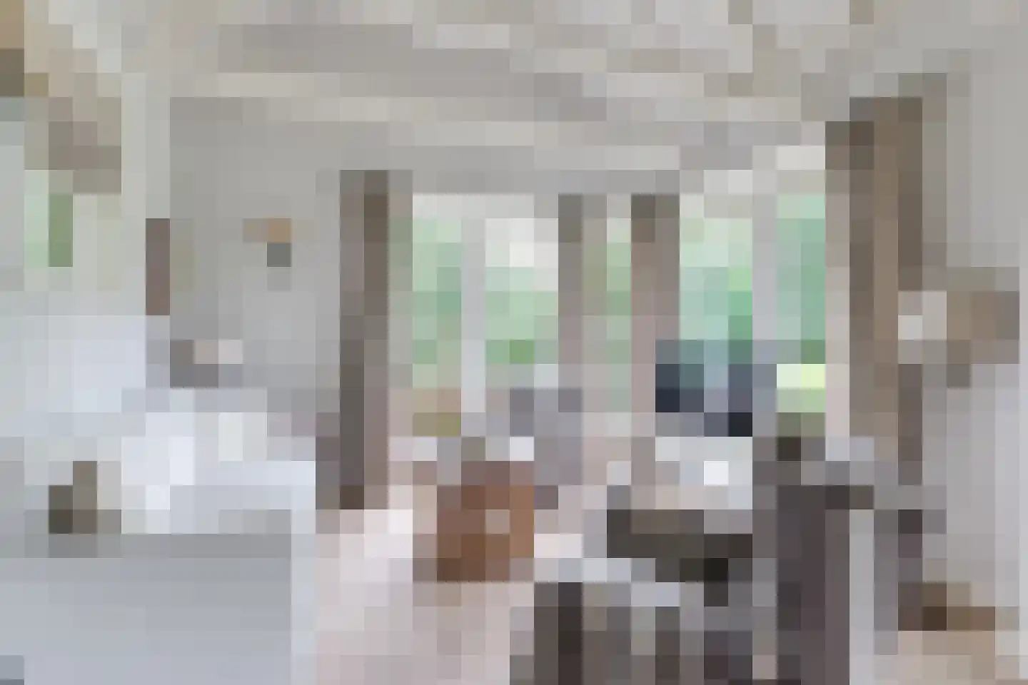 Eeuwigelaan 25 Bergen (NH) thumbnail 96