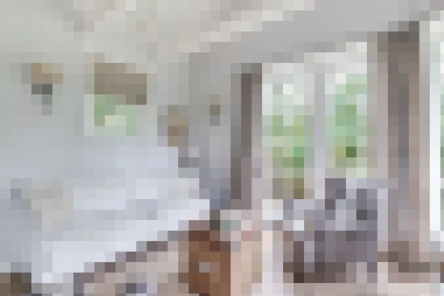 Eeuwigelaan 25 Bergen (NH) thumbnail 97