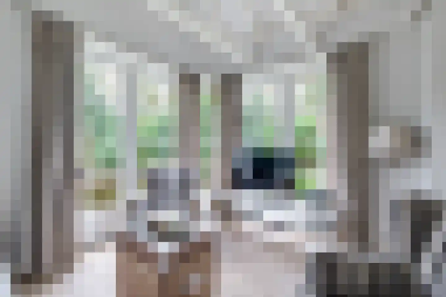 Eeuwigelaan 25 Bergen (NH) thumbnail 98