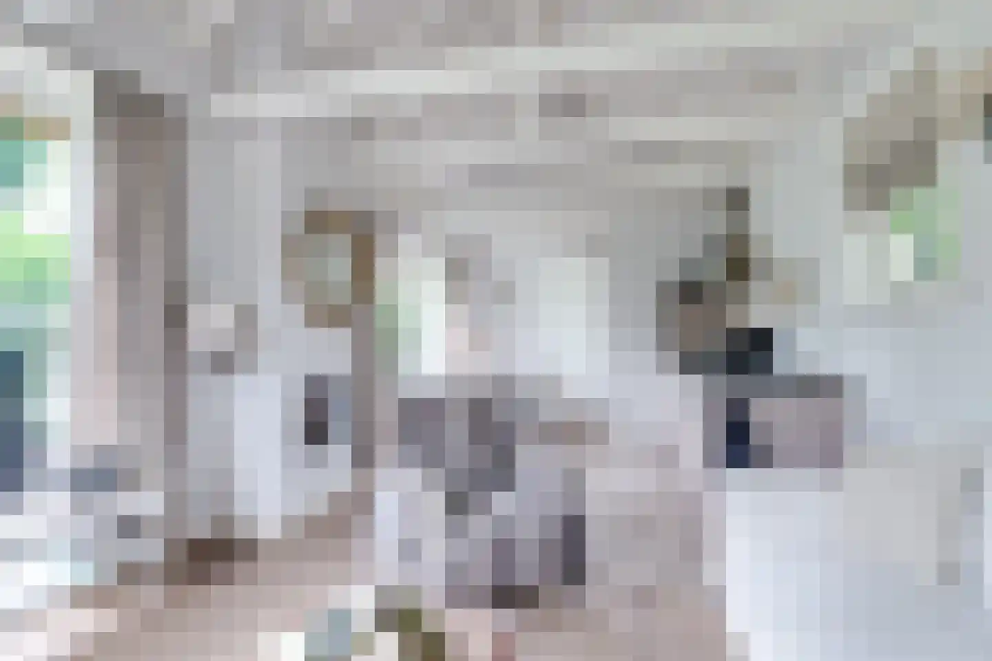 Eeuwigelaan 25 Bergen (NH) thumbnail 99