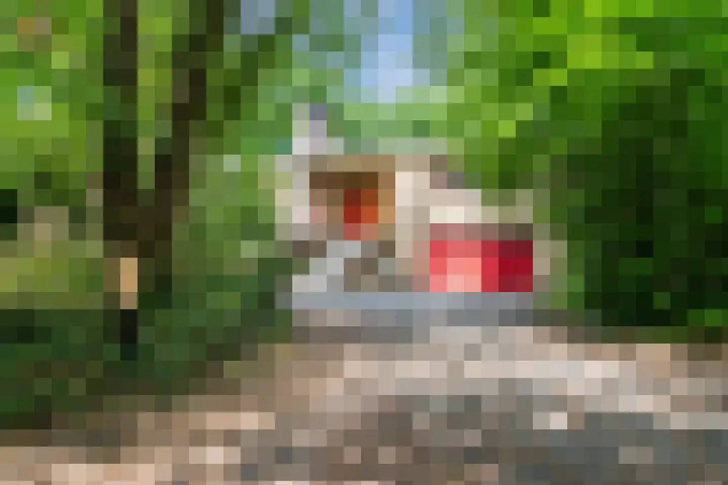 Eeuwigelaan 54 Bergen (NH) thumbnail 12