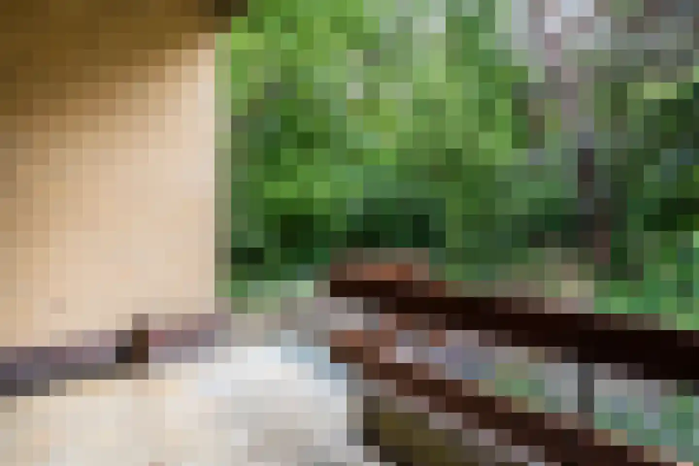 Eeuwigelaan 54 Bergen (NH) thumbnail 14