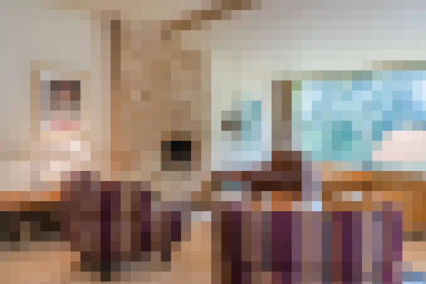 Eeuwigelaan 54 Bergen (NH) thumbnail 19
