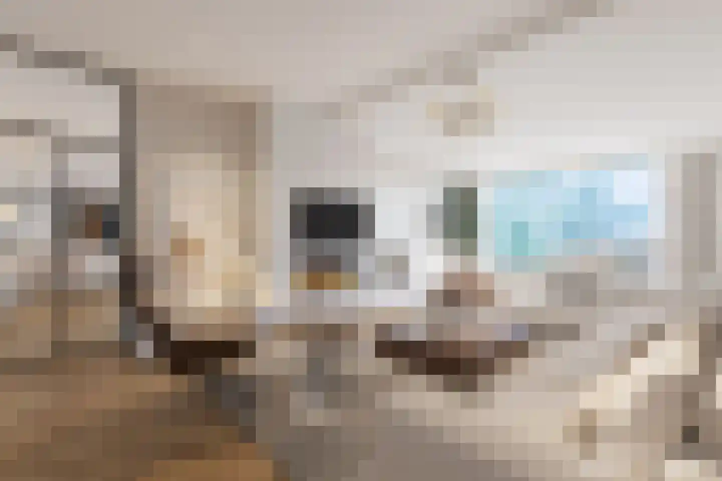 Eeuwigelaan 54 Bergen (NH) thumbnail 21