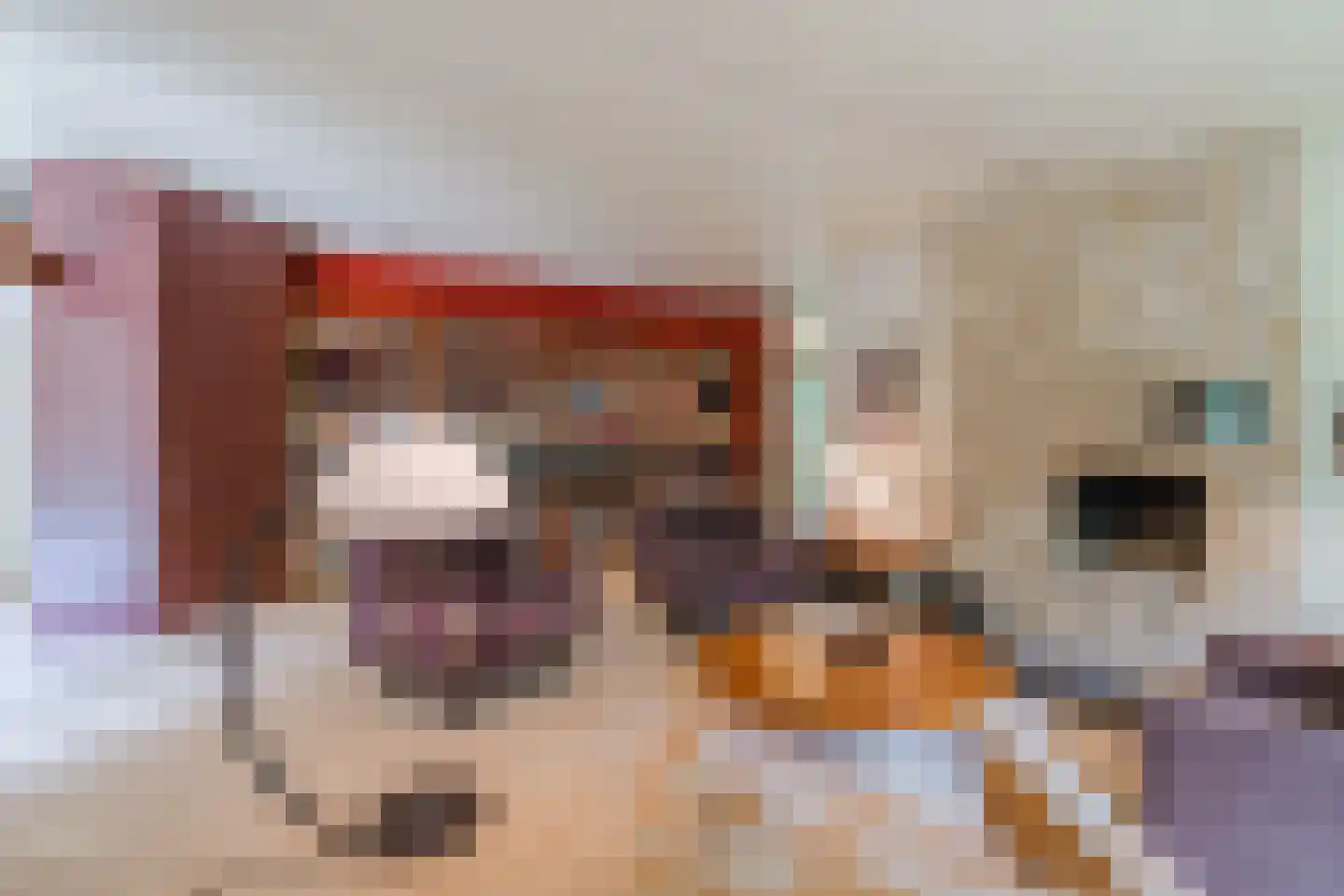 Eeuwigelaan 54 Bergen (NH) thumbnail 22