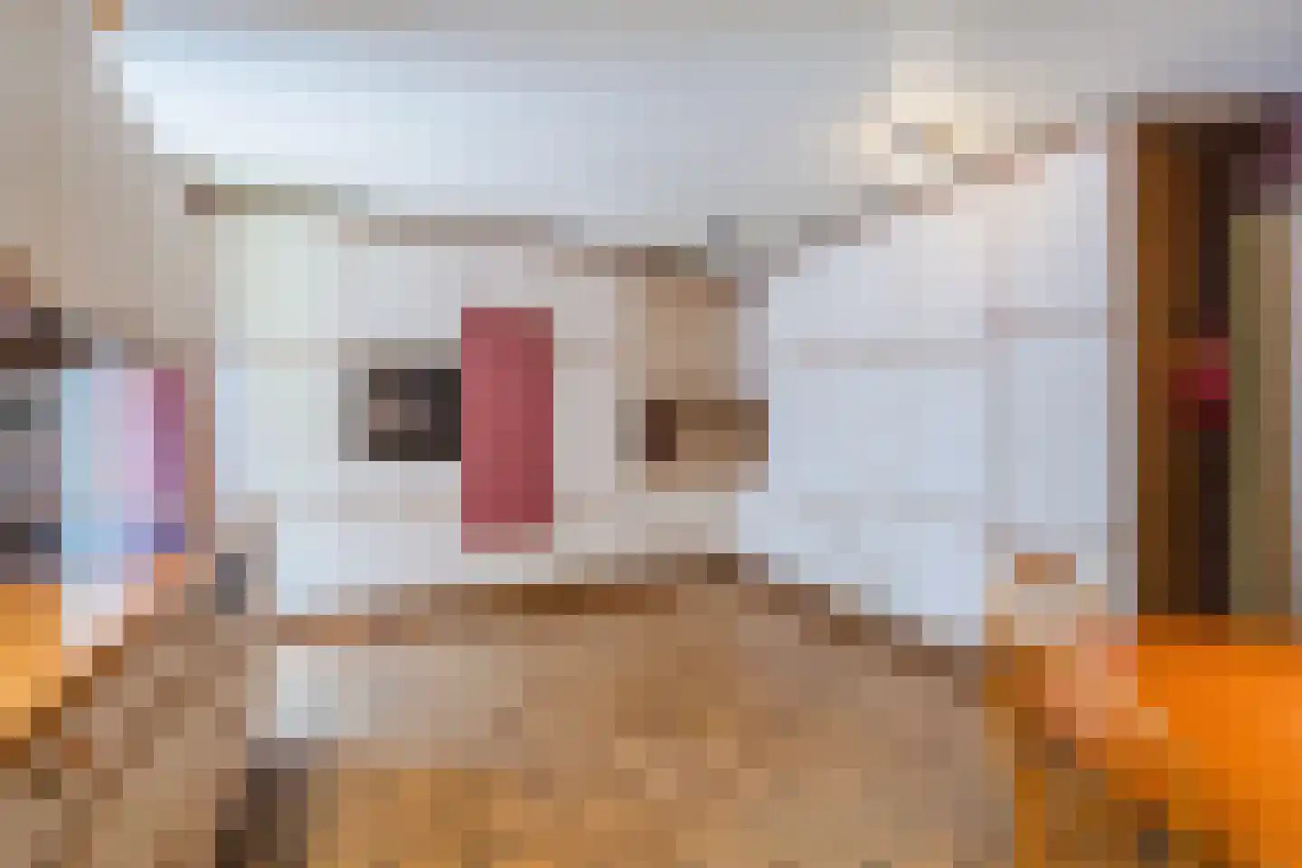 Eeuwigelaan 54 Bergen (NH) thumbnail 28