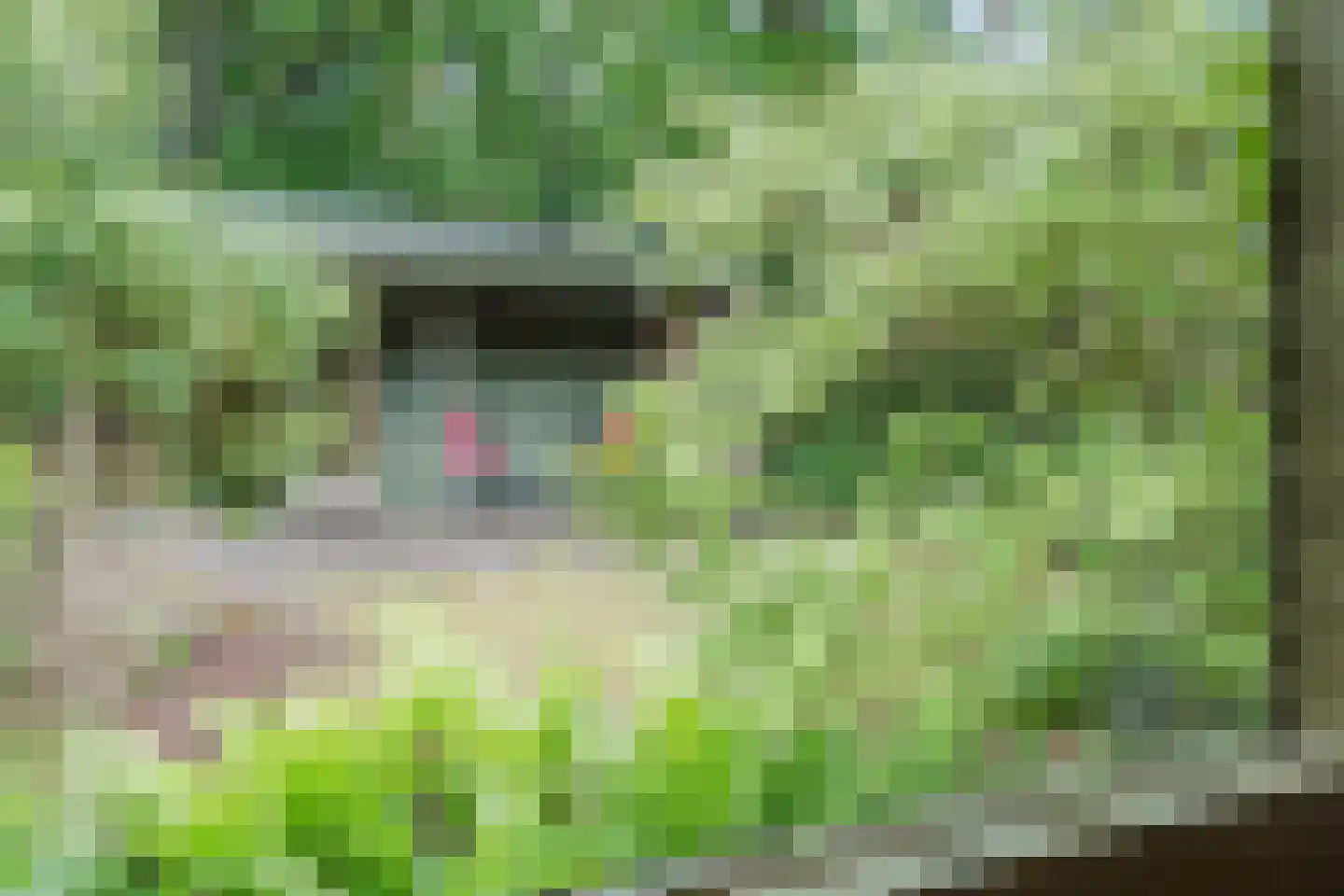 Eeuwigelaan 54 Bergen (NH) thumbnail 31