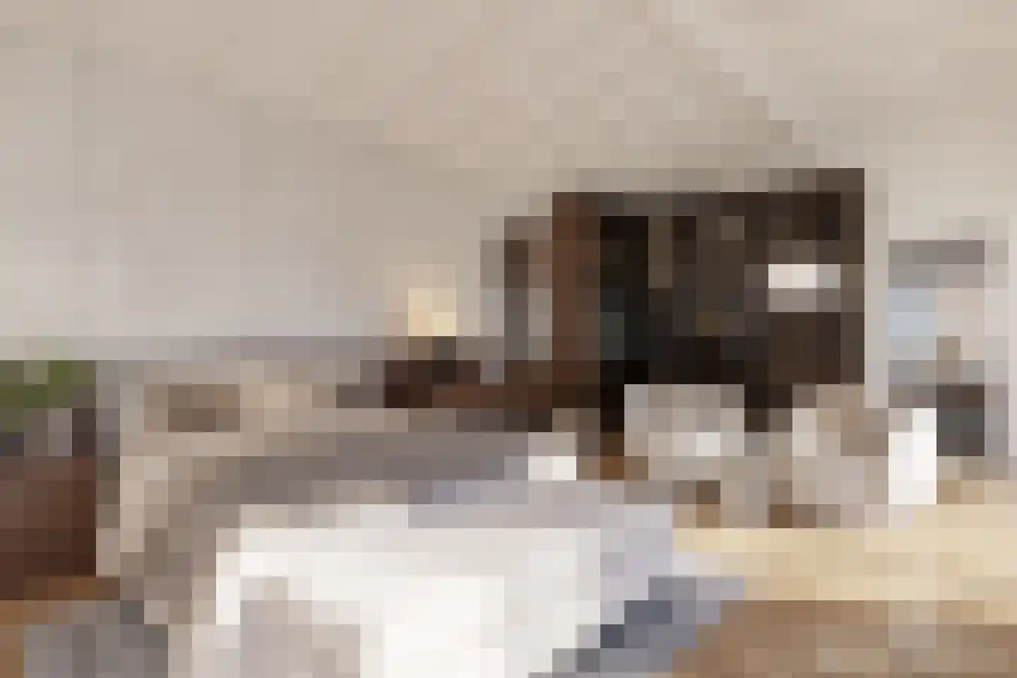 Eeuwigelaan 54 Bergen (NH) thumbnail 36