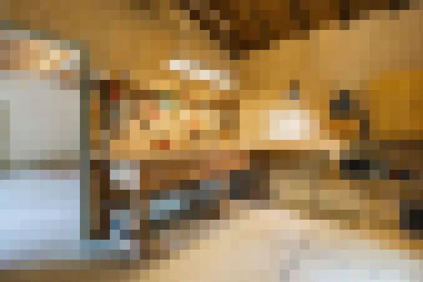 Eeuwigelaan 54 Bergen (NH) thumbnail 37