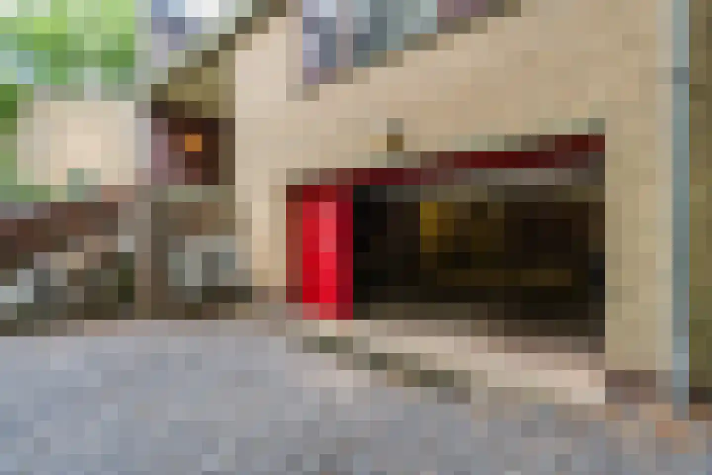 Eeuwigelaan 54 Bergen (NH) thumbnail 5
