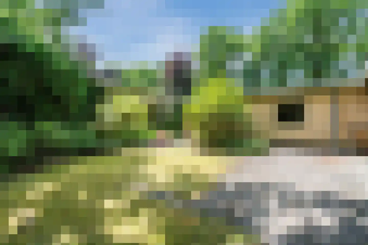 Eeuwigelaan 54 Bergen (NH) thumbnail 52