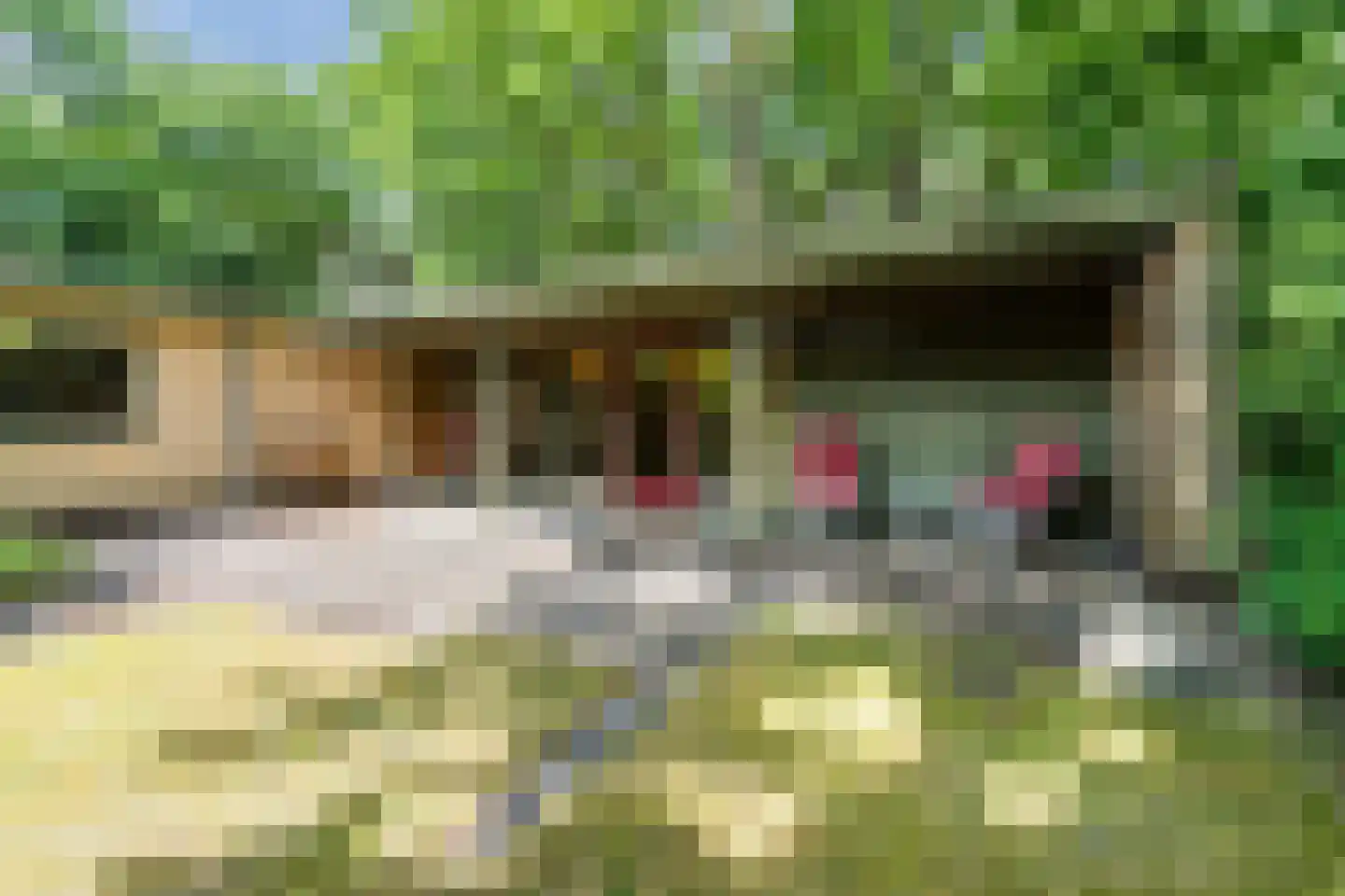 Eeuwigelaan 54 Bergen (NH) thumbnail 53