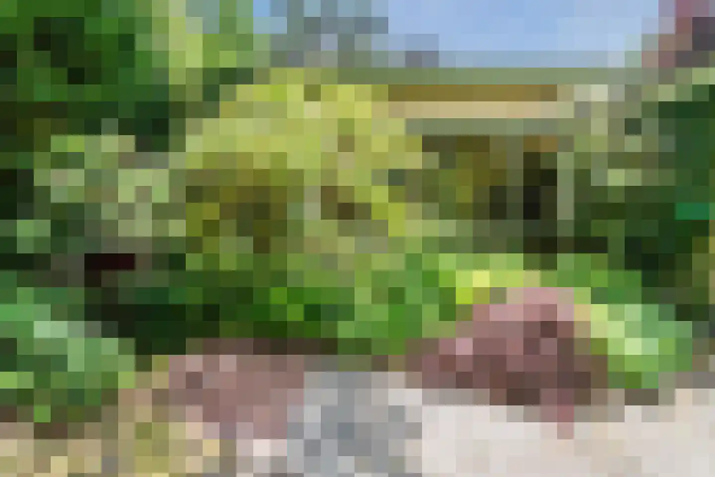 Eeuwigelaan 54 Bergen (NH) thumbnail 54
