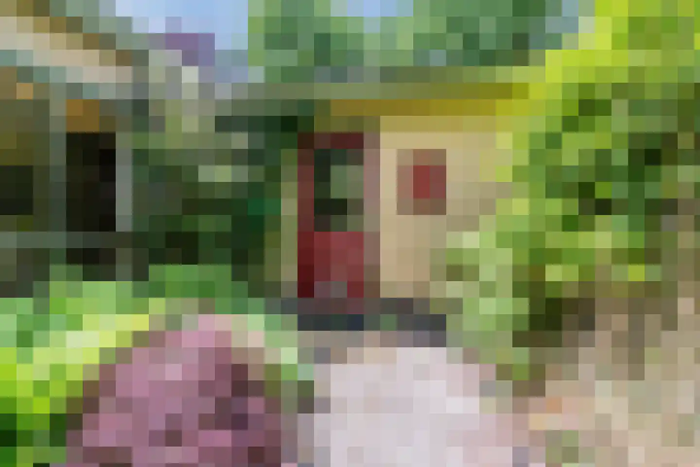 Eeuwigelaan 54 Bergen (NH) thumbnail 55