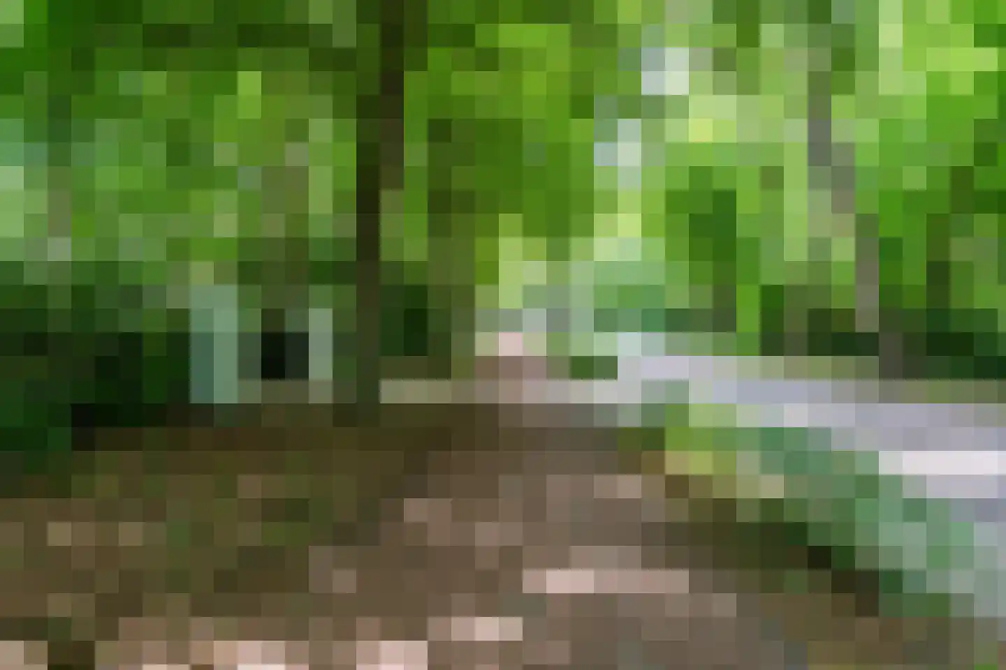 Eeuwigelaan 54 Bergen (NH) thumbnail 6