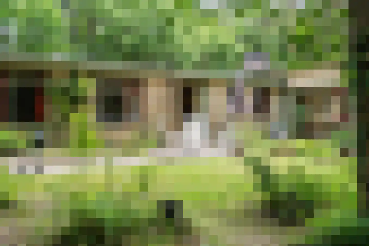 Eeuwigelaan 54 Bergen (NH) thumbnail 60