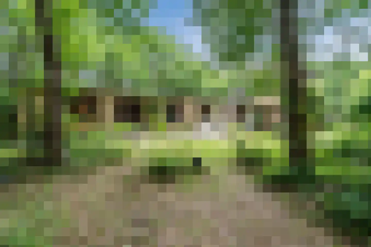 Eeuwigelaan 54 Bergen (NH) thumbnail 62