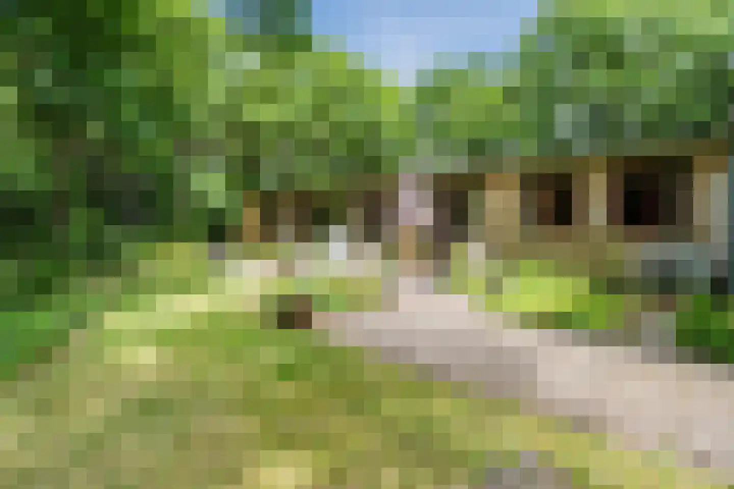 Eeuwigelaan 54 Bergen (NH) thumbnail 63