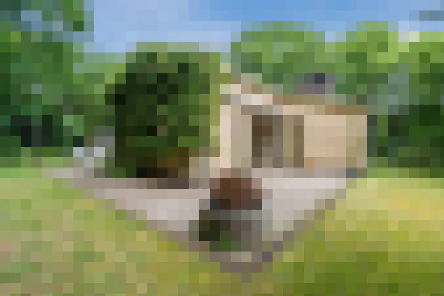 Eeuwigelaan 54 Bergen (NH) thumbnail 64