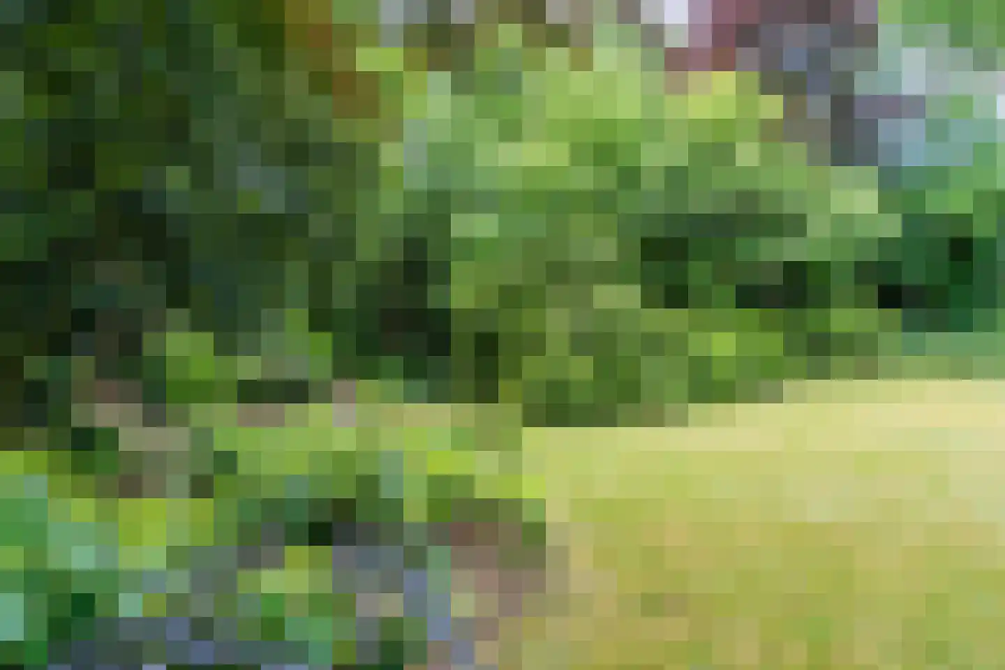 Eeuwigelaan 54 Bergen (NH) thumbnail 66
