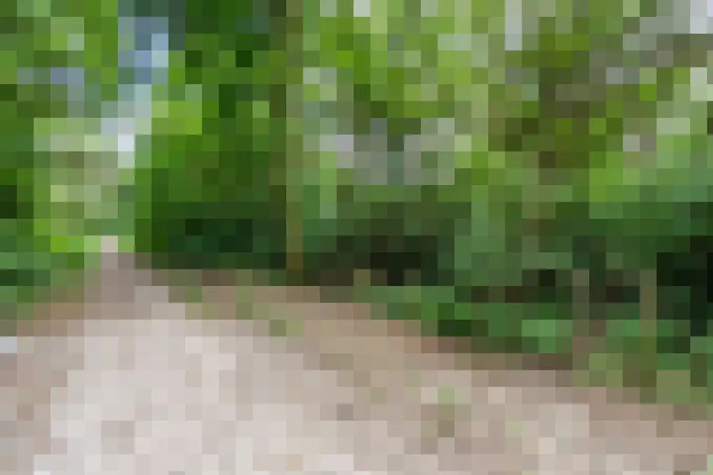 Eeuwigelaan 54 Bergen (NH) thumbnail 68