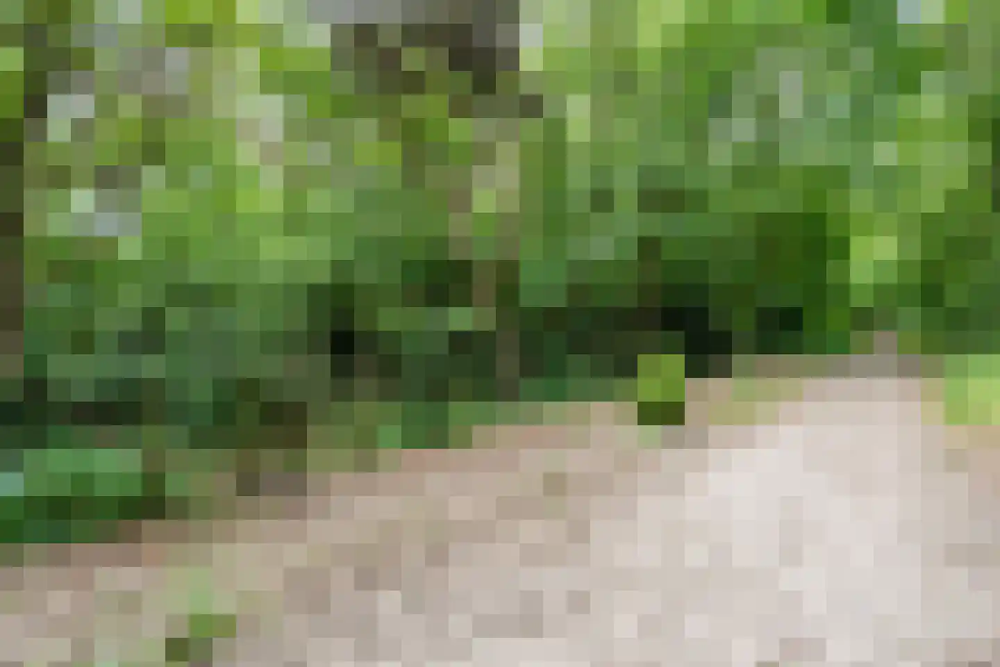 Eeuwigelaan 54 Bergen (NH) thumbnail 69