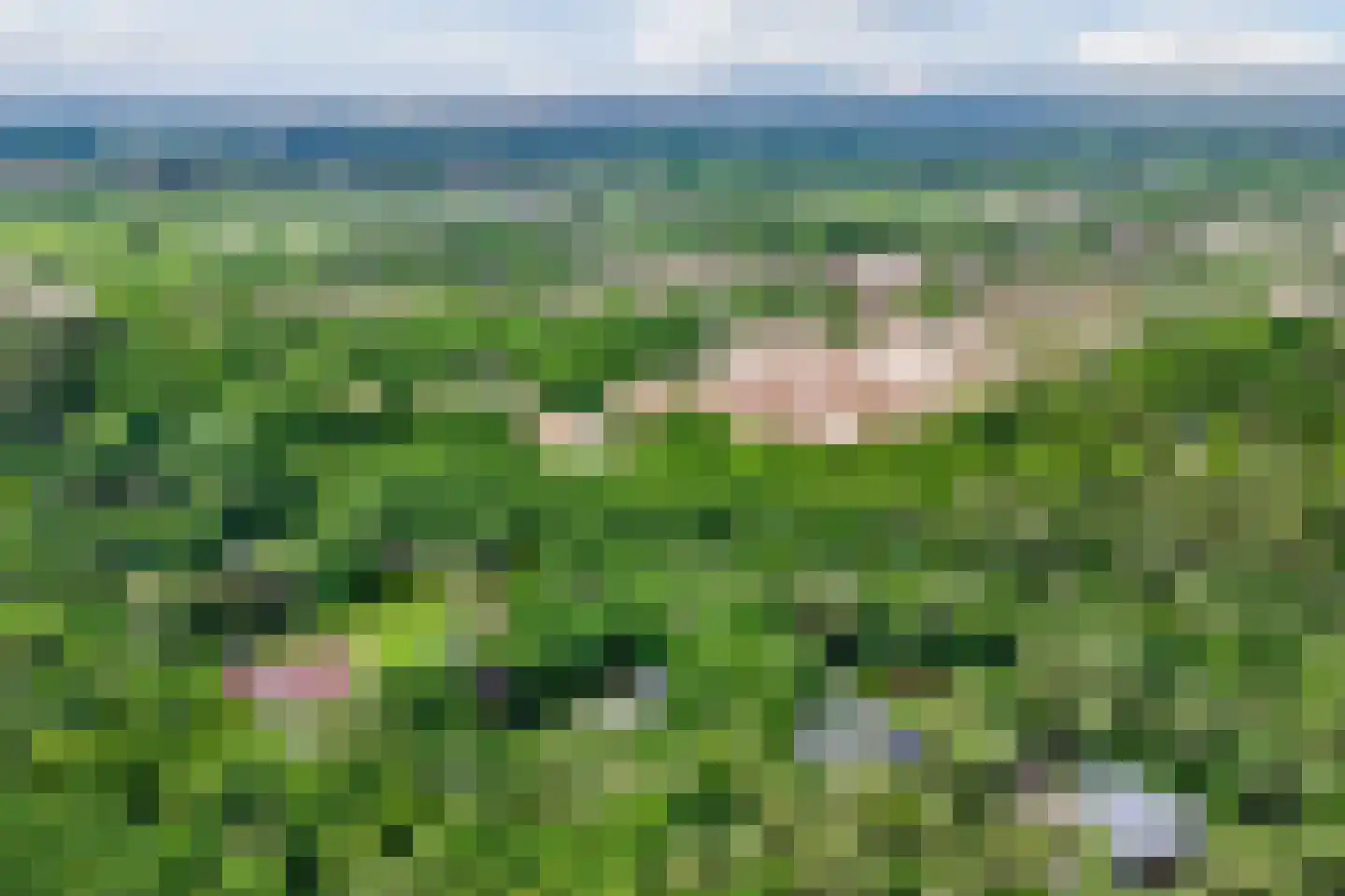 Eeuwigelaan 54 Bergen (NH) thumbnail 71