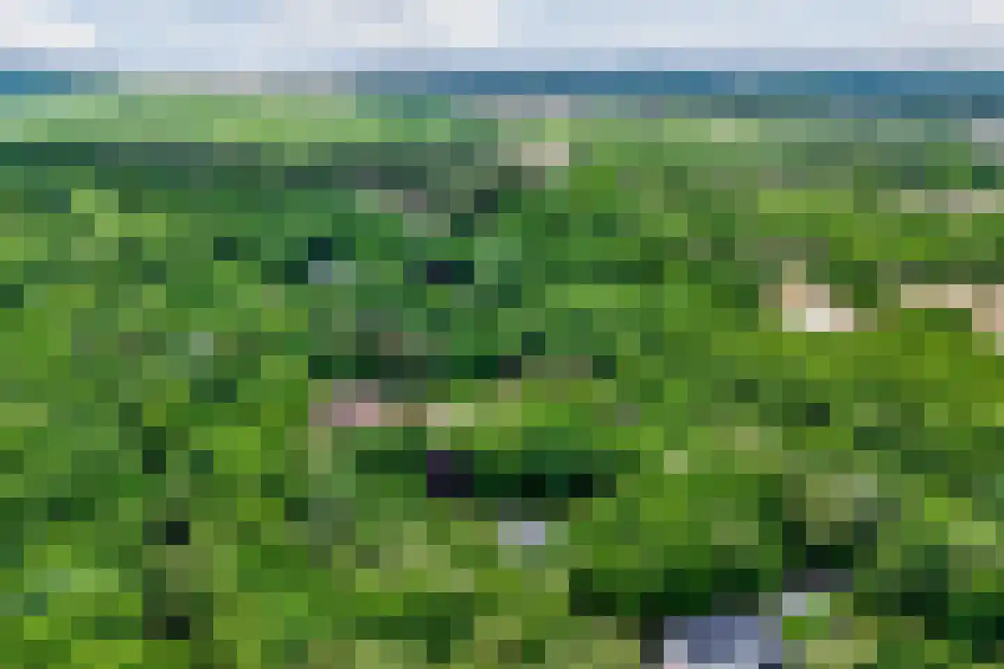 Eeuwigelaan 54 Bergen (NH) thumbnail 72