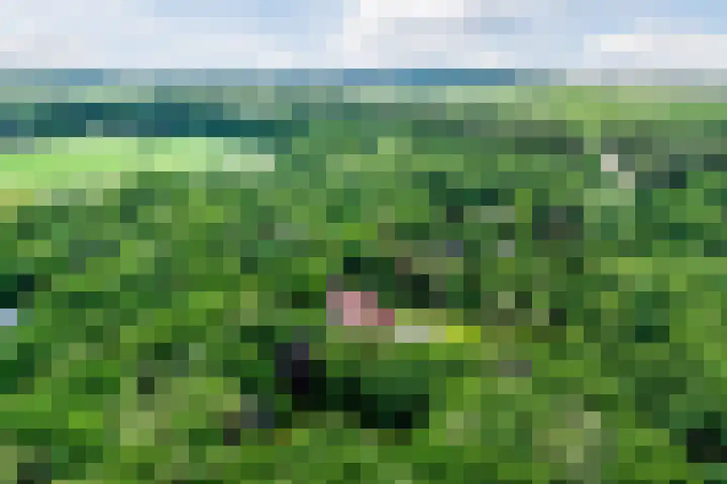 Eeuwigelaan 54 Bergen (NH) thumbnail 73