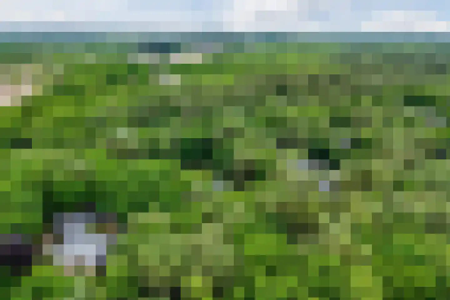 Eeuwigelaan 54 Bergen (NH) thumbnail 75